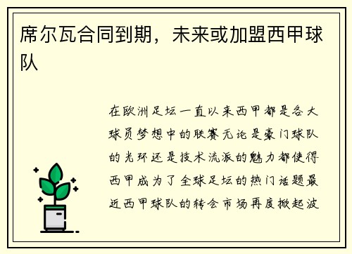 席尔瓦合同到期，未来或加盟西甲球队